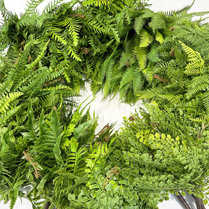 Planta Artificial de Cola de Pez Persa, Adorno Realista para Jardín, Decoración para el Hogar, Oficina, Jardín, Helecho Artificial, Flores Artificiales - Product Image 2