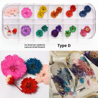 Décorations d'ongles 3D en fleurs séchées, mini autocollants de fleurs séchées réelles, motifs floraux naturels, décorations d'ongles DIY