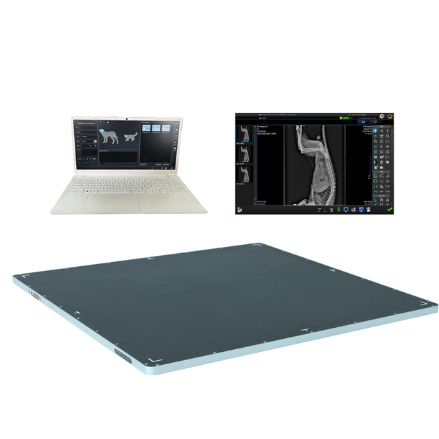 Veterinary Digital Flat Panel Detector 14*17 Wireless Detector for Vet Xray Flat Panel X Ray Digital