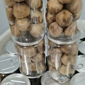 Aglio Nero Essiccato di Qualità Premium, Aglio Nero Intero per Grossisti e Importatori, Confezione Sfusa - Product Image 4