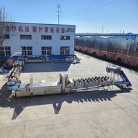 Ligne de production de machines à fabriquer des chips de bananes DY Fruit, 100-500 kg/h, automatique, SUS 304, personnalisable