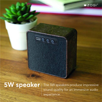 Gadgets écologiques Mini haut-parleurs portables sans fil à alimentation extérieure Radio Blue Tooth stéréo à la noix de coco