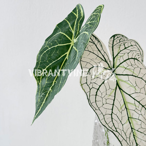 Calla Lily Feuille Fleurs Artificielles <span class=keywords><strong>Mousse</strong></span> Plastique Style Forêt Feuillage Décoration De Mariage Halloween Plantes Vert Artificiel Vert - Product Image 2