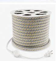 Bande lumineuse LED 2835 à 5 rangées, IP67, PVC, 220V, 230V, étanche pour l'extérieur, 180LED/m, prise avec interrupteur, décoration de la maison, blanc chaud, bleu