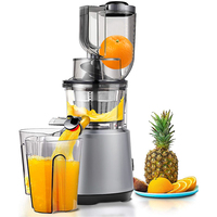 Huishoudelijke professionele citruspers met verticale masticerende functie, elektrische slowjuicer extractor machine