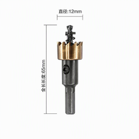 Scie cloche professionnelle en acier rapide HSS 12-30 mm pour le bois, le plastique, le cloison sèche et le plâtre