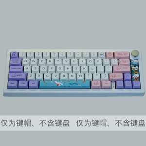 Capuchons de touches Pbt à sublimation thermique, hauteur Xda, pour clavier mécanique universel, personnalisés, à faire soi-même, en anglais - Product Image 3