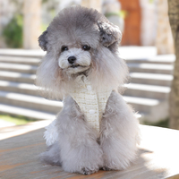 Robe classique personnalisable en gros pour petits chiens et chats – Confortable et respirante en polyester