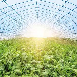 Vaso per Orchidee a Farfalla Personalizzato con <span class=keywords><strong>Pallet</strong></span> per Ciotola Nutritiva in Vendita - Product Image 6