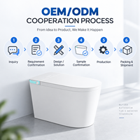Electric Smart Toilet Ceramic Bidet Toilet One Piece Toilet with Heated Seat Warm Air Dryer for Bathroom