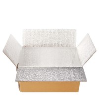 Boîte en carton d'expédition en aluminium isolé thermiquement avec mousse EPE/EPS pour aliments congelés, poissons, légumes