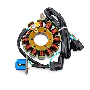 Conjunto de placa de bobina de estator de 12 polos Bajaj Pulsar 150 UG5 BS4 DK84, calidad de exportación para repuestos de motocicletas, India, Orado - Product Image 1