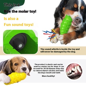 Juguetes de dentición ecológicos para perros Weird Bugs, juguetes audibles para mascotas para perros Golden Retriever medianos y grandes - Product Image 4