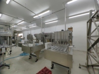 Ligne de production compacte et abordable en acier inoxydable pour jus d'orange, idéale pour les startups