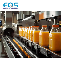 Ligne de Production et de Conditionnement Industrielle de Taille Moyenne pour la Fabrication et le Remplissage de Jus de Fruits (Mangue, Pomme, Pastèque)