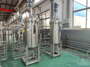 Биореакторный ферментер из нержавеющей стали для микробной культуры Lab1st 100 л 200 л - Product Image 5