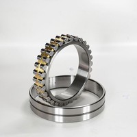 Roulement à rouleaux cylindriques à double rangée ultra-précis en plastique NN3006 NN3007 NN3008 NN3014 NN3017 NN3018 NN3020-D-K