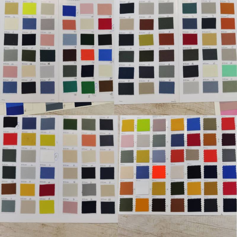 ดีไซน์สีแพนโตน