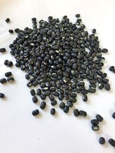 Semillas de Soja Negra Orgánicas a Granel, Sin GMO, Variedad Tradicional para Plantar y Cocinar - Product Image 1