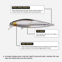 Leurres de pêche coulants à longue portée, leurres durs de simulation type crayon pour la pêche aux prédateurs