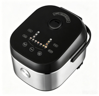 Autocuiseur Électrique Intelligent 4L en Acier Inoxydable 1300W Chauffage par Induction Puissant Minuterie 24H Contrôle Numérique pour VR et Usage Domestique Carré