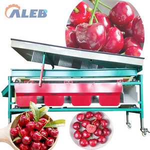 Trieuse de myrtilles à trémie d'alimentation intégrée, avec plateau rembourré et trieuse à canaux réglables - Product Image 1