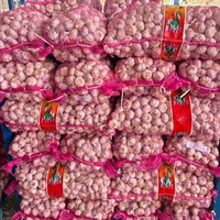 Groothandel Bulk Normale Witte Knoflook Verse Knoflook Groothandelsprijs Professionele Leverancier Ajo Verse Knoflook China Groenten Ail Alho