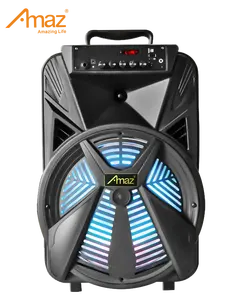 Amplificatore ricaricabile microfono Wireless Karaoke altoparlante amplificato Sound Box