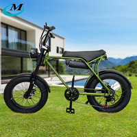 Vélo électrique tout-terrain Dirt Road Ebike Drop Shipping Urban avec moteur brushless 500W 750W, pneus larges, vélo de montagne électrique