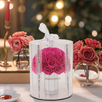Langdurige Roos Betoverde Eeuwige Bloem Geconserveerde Decoratieve Geschenkdoos Voor Bruiloften En Valentijnsdag