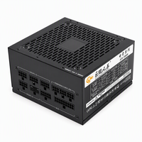 OEM 1000W 80Plus Gold PC Güç Kaynağı ATX3.1 Oyun Bilgisayarı PCI-E 5.0 Güç Kaynağı 50/40 Serisi Ekran Kartları ile Uyumlu