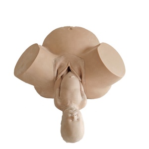 Modèle de bassin féminin Medica Science pour l'enseignement et la formation en sage-femme, simulateur d'accouchement anormal - Product Image 3