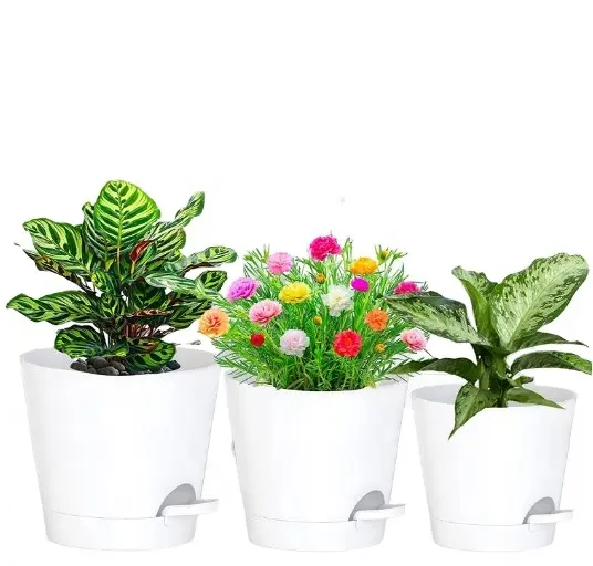 Macetas de plástico para regar, para escritorio, bonsái, plantas verdes, redondas, nuevo estilo, 2023