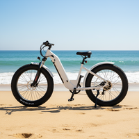 <strong>Best</strong> <strong>Selling</strong> Manufacturer Step Thru Fat <strong>Wheel</strong> 26inch 750w Woman Electric Bike