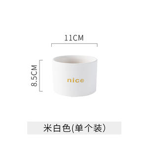 Petit pot de fleurs en céramique nordique moderne personnalisé avec fer forgé pour jardin en gros Ins charnu - Product Image 6