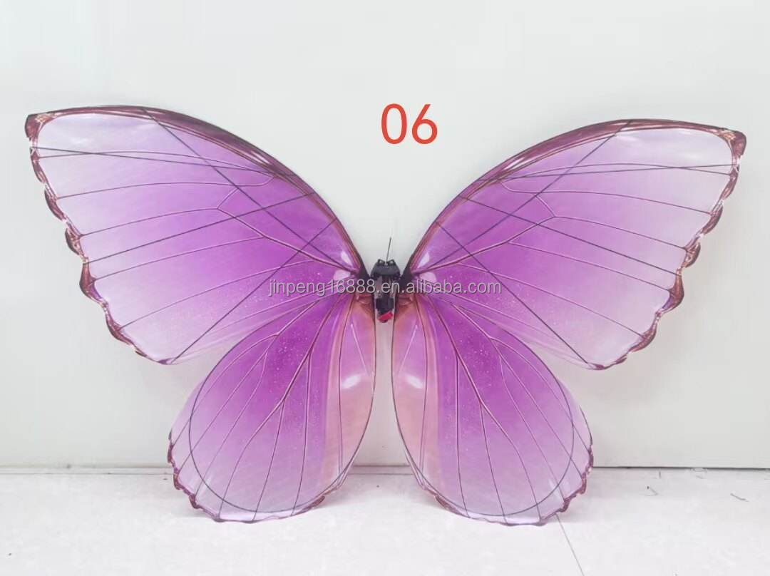 Coloré 6