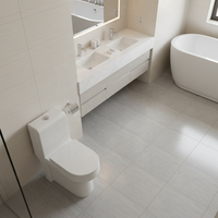 WC monobloc en céramique moderne allongé à double chasse, finition brillante, à poser au sol, siphonique, à sortie verticale, prix abordable, garantie 5 ans