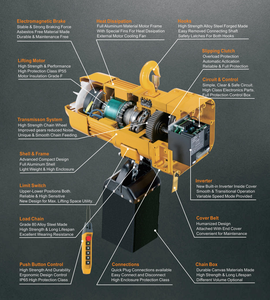 Polipasto Eléctrico de Cadena ALLMAN al por Mayor ER2 380v 220v Grúa de Carga Pesada 1 Tonelada 2 Toneladas 3 Toneladas 5 Toneladas Polipasto Eléctrico Industrial M5 - Product Image 3