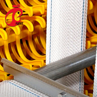 Cage à poulets entièrement automatique avec système automatique de collecte des œufs