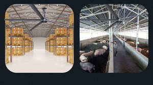 Ventilateur de plafond industriel HVLS, pales en aluminium, moteur PMSM, faible bruit, économie d'énergie, pour entrepôt, atelier - Product Image 5