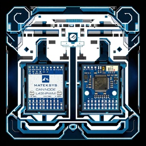 MATEK ACM0096 Adapter CANNOOE L431-PWM Metal ESCs DShot Capabilities Compatible with ArudPilot - Product Image 3