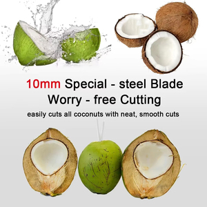 Cortadora de Coco de Alta Eficiencia Fabricada en China, Máquina Cortadora de Coco Fresco con Filtro - Product Image 6