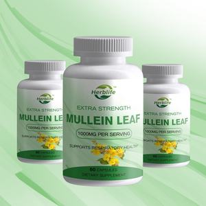Cápsulas de Extracto de Hoja de Gordolobo, Suplementos Herbales de Venta Caliente OEM ODM para el Apoyo de la Salud Pulmonar - Product Image 2