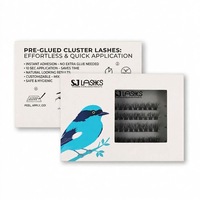 Cils en grappe pré-collés, faux cils sans colle, grappes de cils DIY, vente en gros, aspect naturel et vaporeux, réutilisables, marque privée