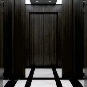 Ascenseur médical antibactérien de porte coulissante de capacité automatique flexible de l'ascenseur 1600kg - Product Image 1