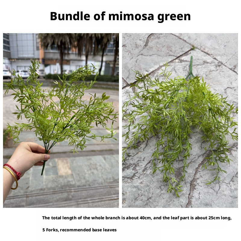 3# Bunch of Mimosa dark green