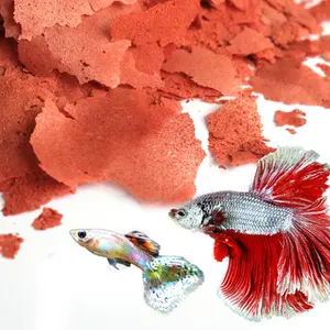 Customised high quality fish food Tropical flake aquarium tropical fish food flakes