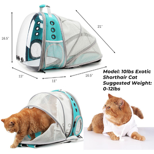 Expandable Pet Carriers <b>Backpack</b> for Cats Small Dogs Outdoor Travel Hiking Walking Breathable Mesh Pet Carriers Carrying Bag - Product Image 2