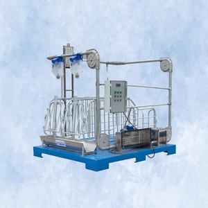 Jaula de Gestación para Cerdas HengYin, Nueva y Popular, con Larga Vida Útil, Acero Galvanizado por Inmersión en Caliente, Certificación CE - Product Image 2