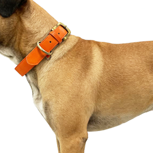Elegante <span class=keywords><strong>Collar</strong></span> de Perro de Cuero <span class=keywords><strong>PU</strong></span> Impermeable de Lujo, Patrón Sólido, Cintas, Hebilla Ajustable, Porta Placa de Identificación para Perros Medianos/Grandes - Product Image 4